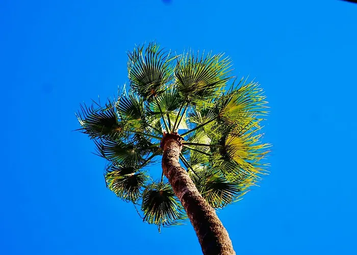 CecilHotel Marrakech